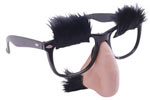 Groucho Glasses